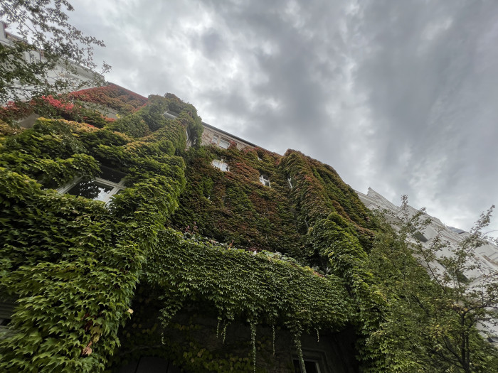 ... weniger ausdruckstark. (Bild: Tobias Költzsch/Golem.de)